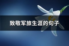 致敬军旅生涯的句子(共87句)