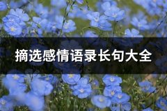 摘选感情语录长句大全(共72句)