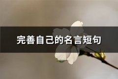 完善自己的名言短句(汇总82句)