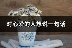 对心爱的人想说一句话(实用65句)