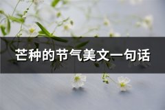 芒种的节气美文一句话(热门65句)