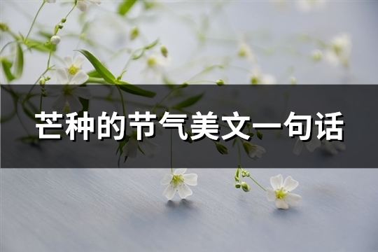 芒种的节气美文一句话(热门65句)