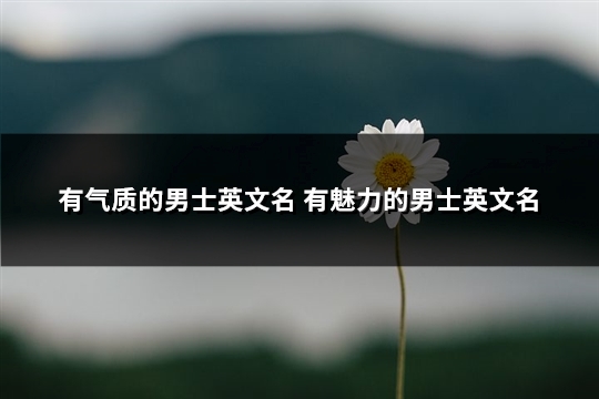 有气质的男士英文名 有魅力的男士英文名(精选138个)(有气质的男士英文名字)