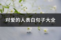 对爱的人表白句子大全(热门161句)