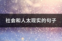 社会和人太现实的句子(通用92句)