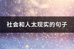 社会和人太现实的句子(通用92句)