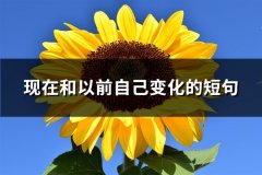 现在和以前自己变化的短句(推荐64句)