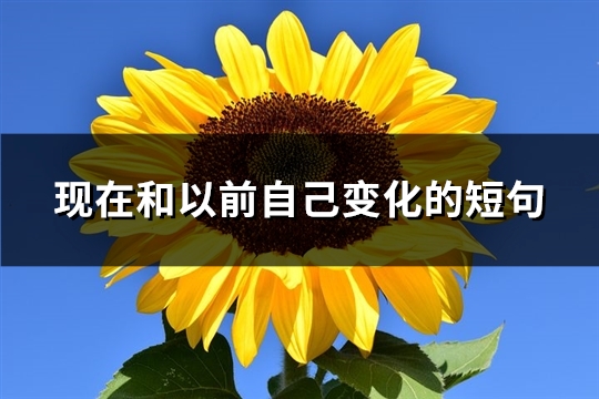 现在和以前自己变化的短句(推荐64句)