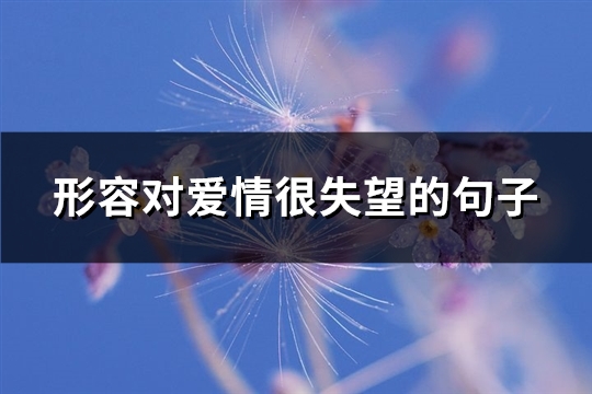 形容对爱情很失望的句子(108句)