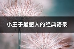 小王子最感人的经典语录(精选8句)