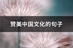 赞美中国文化的句子(优选64句)