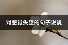 对感觉失望的句子说说(汇总74句)