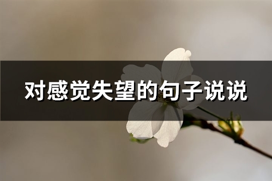 对感觉失望的句子说说(汇总74句)