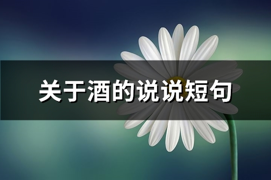 关于酒的说说短句(实用64句)