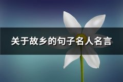 关于故乡的句子名人名言(热门71句)