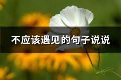不应该遇见的句子说说(通用50句)