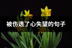 被伤透了心失望的句子(推荐72句)