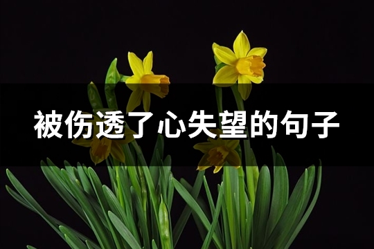 被伤透了心失望的句子(推荐72句)