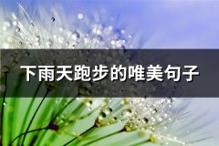 下雨天跑步的唯美句子(热门67句)