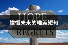憧憬未来的唯美短句(必备61句)