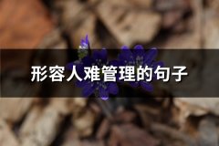 形容人难管理的句子(热门61句)