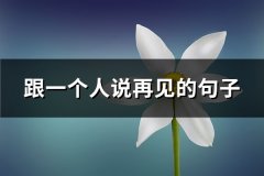 跟一个人说再见的句子(通用67句)