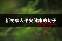 祈祷家人平安健康的句子(热门84句)
