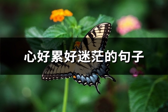 心好累好迷茫的句子(推荐69句)