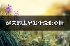 醒来的太早发个说说心情(59句)