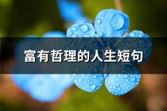 富有哲理的人生短句(推荐61句)