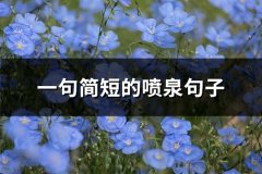 一句简短的喷泉句子(热门45句)
