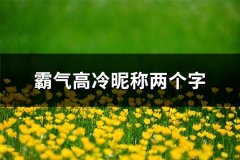 霸气高冷昵称两个字(精选557个)