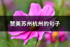 赞美苏州杭州的句子(热门64句)