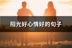 阳光好心情好的句子(67句)