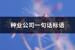 种业公司一句话标语(优选76句)