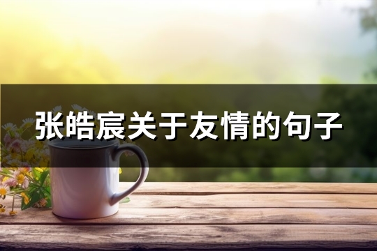 张皓宸关于友情的句子(优选62句)