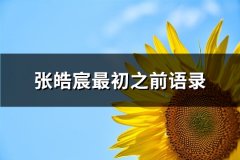 张皓宸最初之前语录(推荐73句)