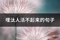 埋汰人活不起来的句子(必备112句)