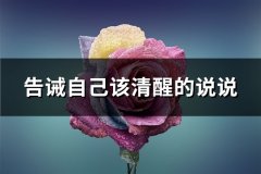 告诫自己该清醒的说说(实用61句)