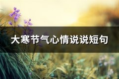 大寒节气心情说说短句(必备74句)