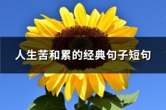 人生苦和累的经典句子短句(汇总47句)