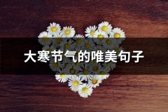 大寒节气的唯美句子(通用107句)
