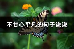 不甘心平凡的句子说说(必备62句)
