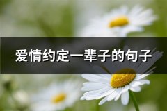 爱情约定一辈子的句子(实用61句)