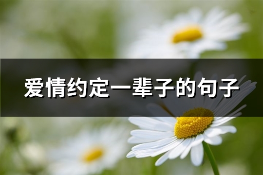 爱情约定一辈子的句子(实用61句)