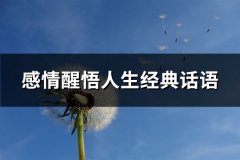 感情醒悟人生经典话语(共64句)