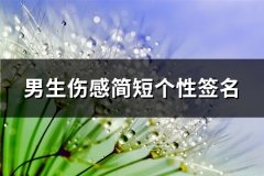 男生伤感简短个性签名(推荐138句)