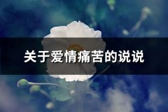 关于爱情痛苦的说说(73句)