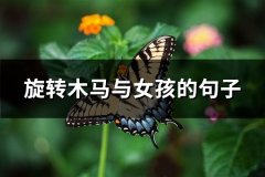 旋转木马与女孩的句子(精选42句)