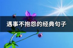 遇事不抱怨的经典句子(推荐76句)